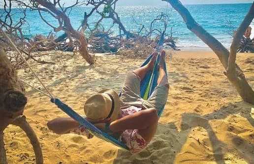 Dozing in a hammock strung between trees at the edge of the beach