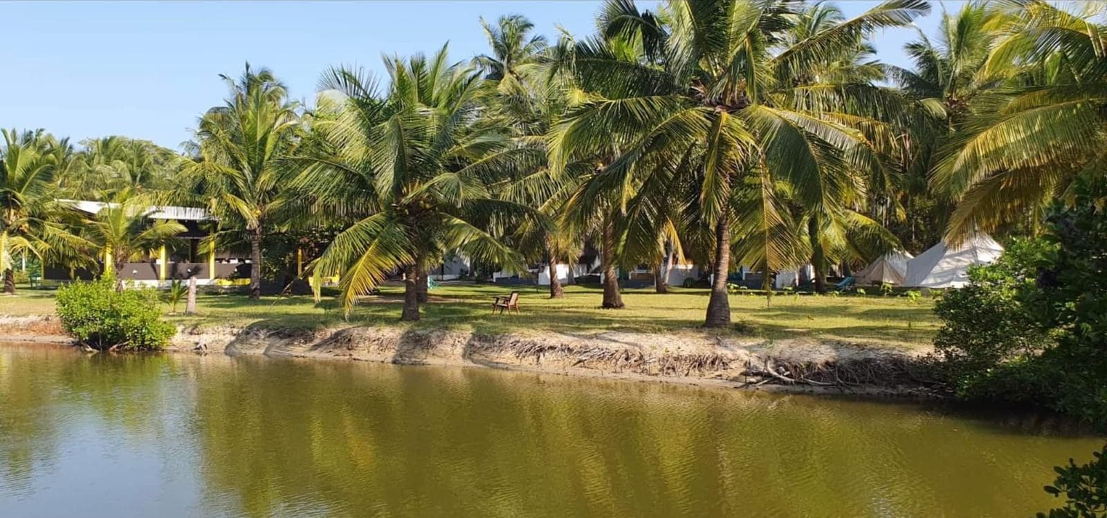 The resort seen from across the lagoon, palms leaning over the bank